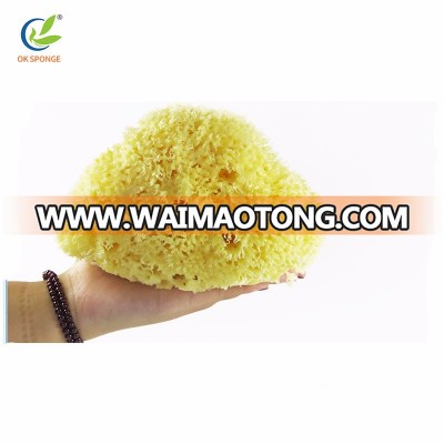 Hot Selling Natural Color Honeycomb Shape Bath Sponge from Greece/ Expanding In water