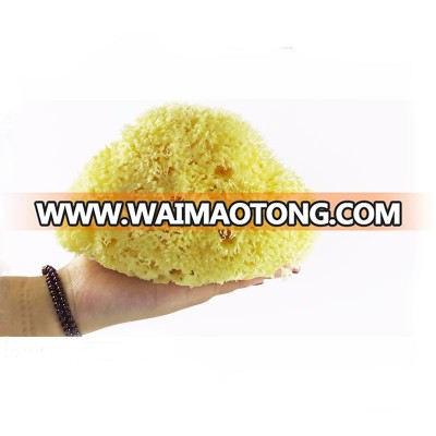 Natural Sea Wool Sponge 6-7inch Soft Body Clean Sponge