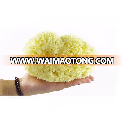 15.5-17cm Honeycomb Natural Sea Sponge Bath Sponge from Greece