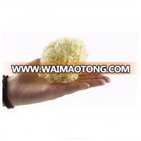 Hot Selling Bleaching Honeycomb Natural Sea Bath Sponge from Greece