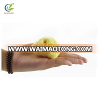 Hot Selling Decolorization Honeycomb Shape Bath Sponge from Greece/ Expanding In water