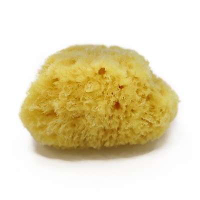 11-12.5cm 100% natural natural scrub shower bath sea sponge